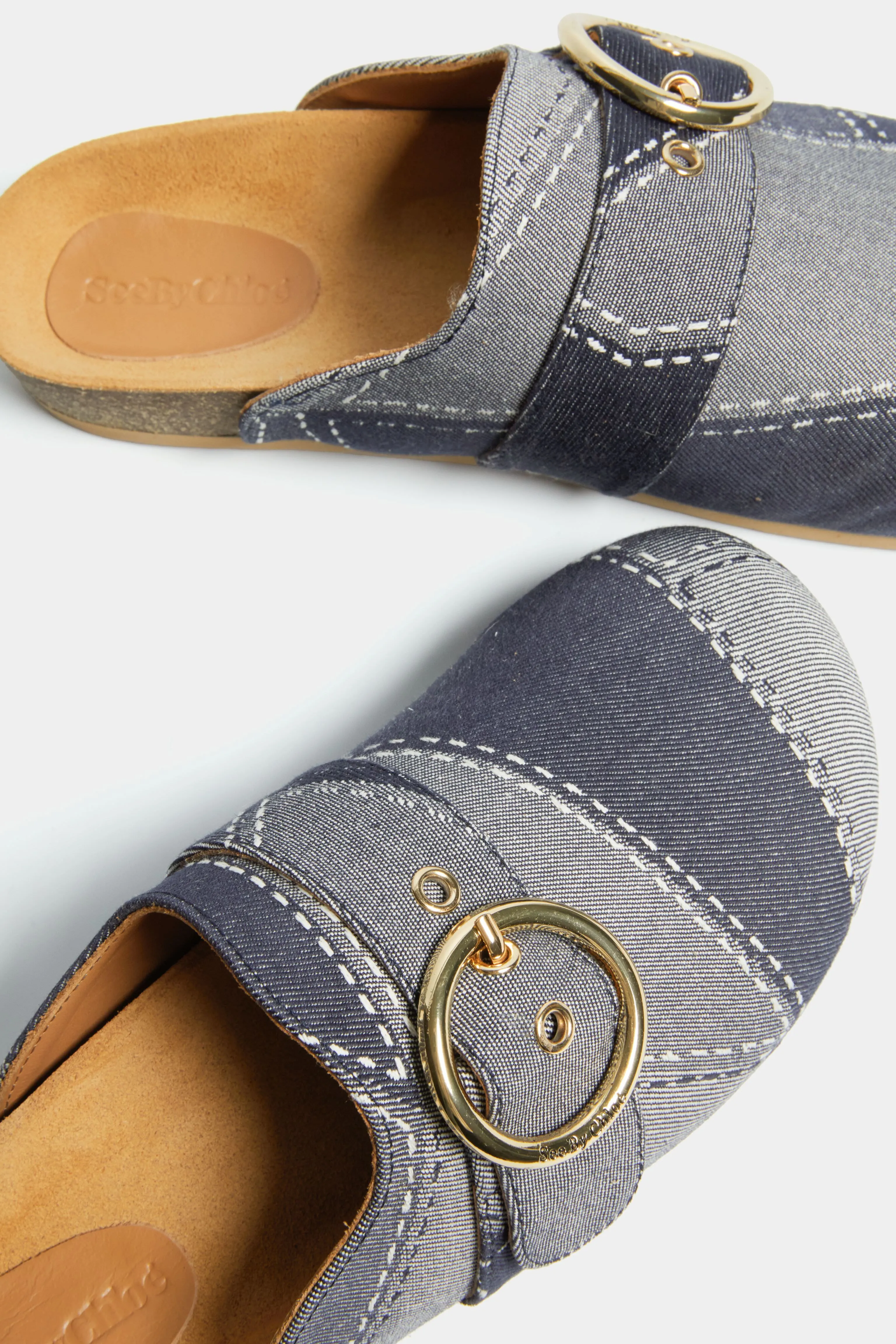 Blue Joei Slides