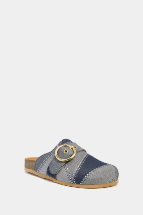 Blue Joei Slides